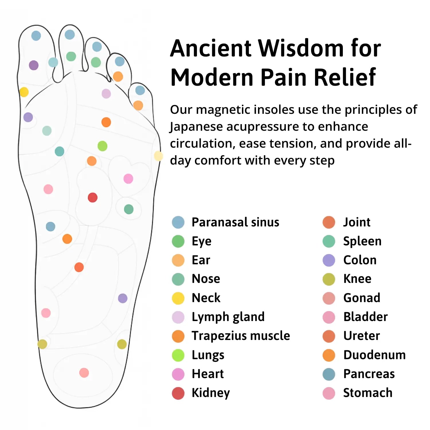 Advanced Magnetic Insoles - Reduce Pain by Stimulating Acupressure Points