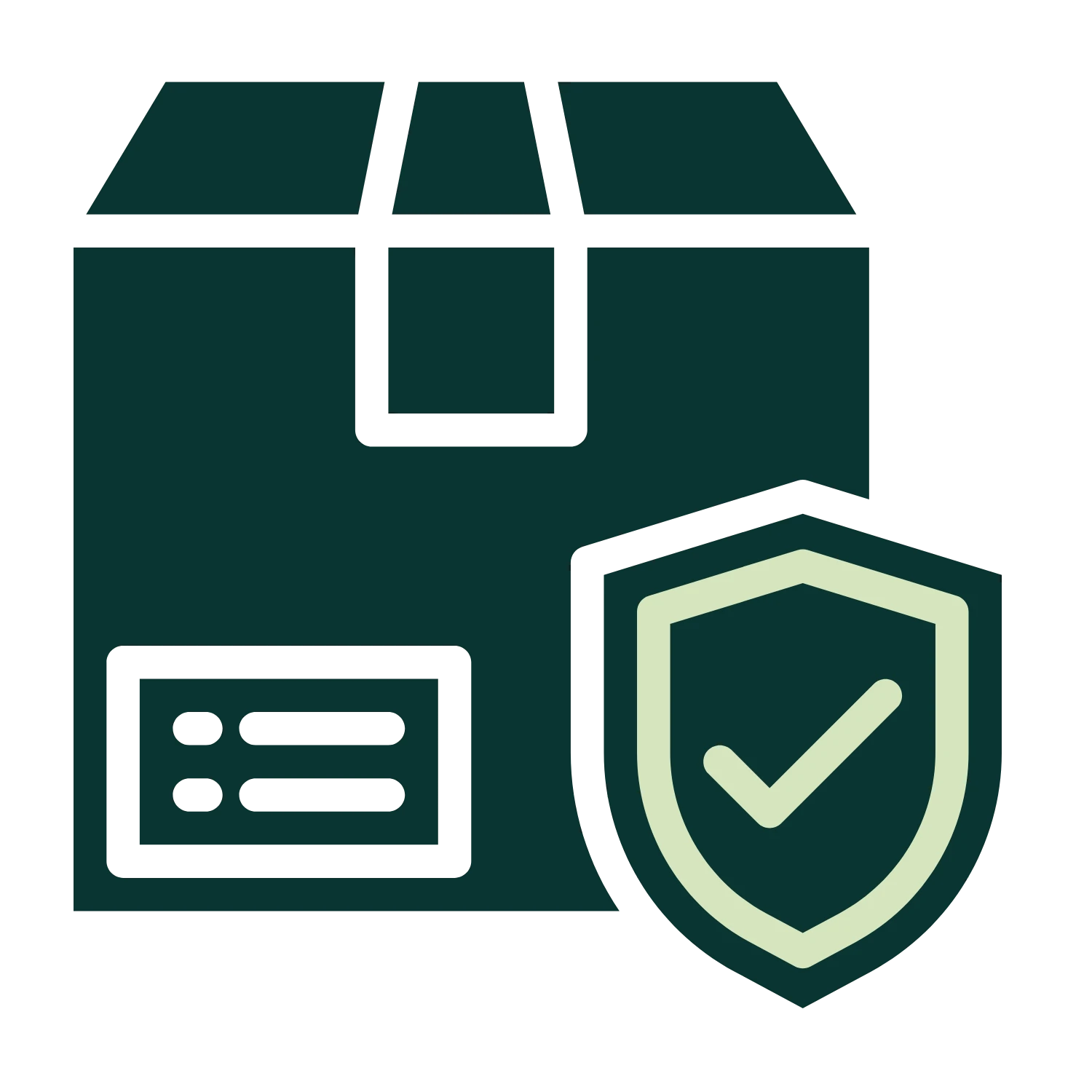Bright Footwear Shipping Protection